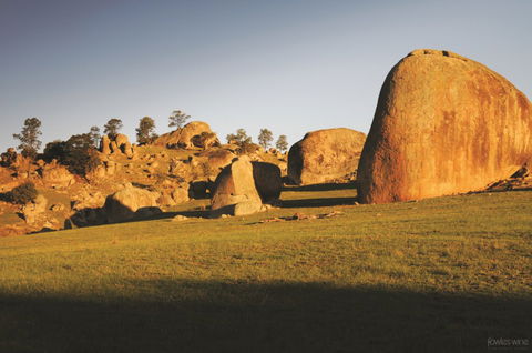 Fowles Wine - Accommodation in Brisbane 3