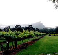 Cambewarra Estate Wines - Accommodation in Brisbane