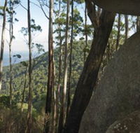 Gulaga National Park - Accommodation in Brisbane