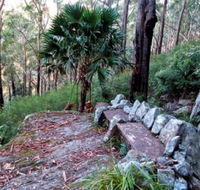Wodi Wodi Walking Track - Accommodation in Brisbane