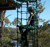 Trees Adventure Shoalhaven - Accommodation in Brisbane