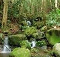 Budderoo National Park - Accommodation in Brisbane