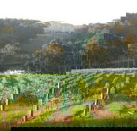 Tilba Valley Wines - Accommodation in Brisbane
