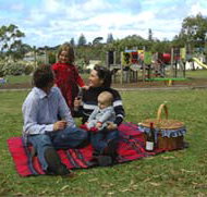 Blackbutt Forest Reserve - Accommodation in Brisbane