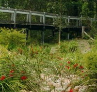 Eurobodalla Botanic Gardens - Accommodation in Brisbane