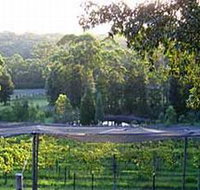 Lyrebird Ridge Organic Winery - Accommodation in Brisbane