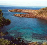 Bass Point Reserve - Accommodation in Brisbane