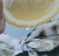 Pearly Oyster Bar and Farm - Accommodation in Brisbane