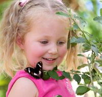 Coffs Harbour Butterfly House - Accommodation in Brisbane