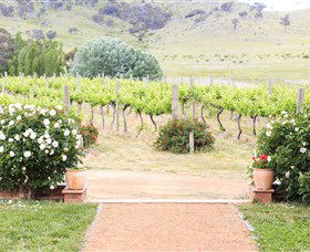 Brindabella Hills Winery - Accommodation in Brisbane 0