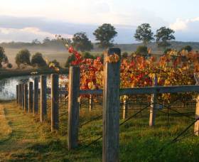 Roses Vineyard At Innes View - Accommodation in Brisbane 2