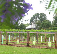 Douglas Vale Historic Homestead  Vineyard - Accommodation in Brisbane