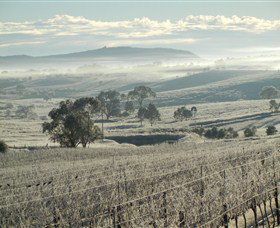 Kurrajong Downs Wines Vineyard - Accommodation in Brisbane 1