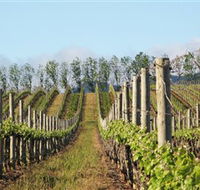 Philip Shaw Wines - Accommodation in Brisbane
