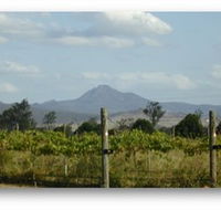 Ironbark Ridge Vineyard - Accommodation in Brisbane