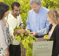 Jacob's Creek Vineyard Tour - Accommodation in Brisbane