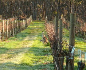 Sandhurst Ridge - Accommodation in Brisbane 1