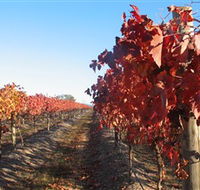 Kooyonga Creek Wines - Accommodation in Brisbane