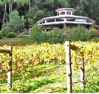 Peveril Vineyard/Beechy Berries - Accommodation in Brisbane