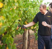 Fratin Brothers Vineyard - Accommodation in Brisbane