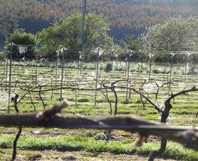 Red Hills TAS Accommodation in Brisbane