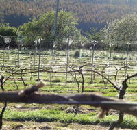 Three Willows Vineyard - Accommodation in Brisbane