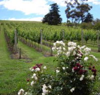 Pembroke Estate Vineyard - Accommodation in Brisbane