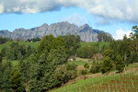 Lake Barrington Vineyard - Accommodation in Brisbane 0