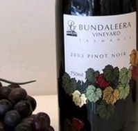 Bundaleera Vineyard - Accommodation in Brisbane