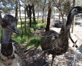 Narana Aboriginal Cultural Centre - Accommodation in Brisbane 4