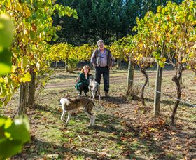 Whanregarwen VIC Accommodation in Brisbane