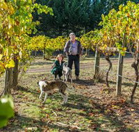 Little River Wines of Taggerty - Accommodation in Brisbane