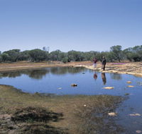 Camel Soak - Accommodation in Brisbane