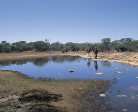 Camel Soak - Accommodation in Brisbane 0