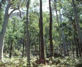 Cathedral Range State Park - Accommodation in Brisbane 0