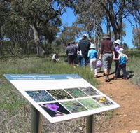 South Gundagai Woodlands Walk - Accommodation in Brisbane