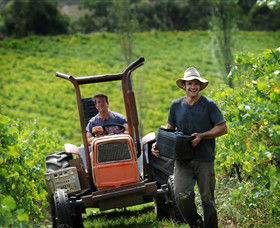 Kellybrook Winery, Kelly Brothers Cider & Riders Brew Co. - Accommodation in Brisbane 0