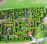 Hedgend Maze and Healesville Laser Sport - Accommodation in Brisbane