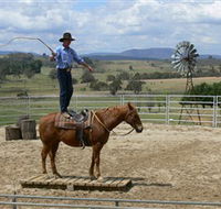 Boggy Creek Shows - Accommodation in Brisbane