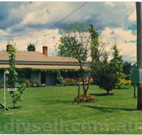 Tumut Valley Violets - Accommodation in Brisbane