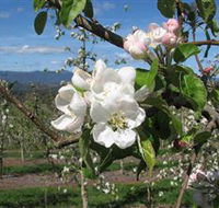 Mouat's Farm - Accommodation in Brisbane