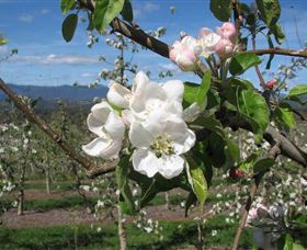 Mouat's Farm - Accommodation in Brisbane 0