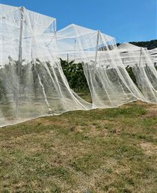 Mouat's Farm - Accommodation in Brisbane 5