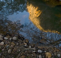 Abercrombie Karst Conservation Reserve - Accommodation in Brisbane
