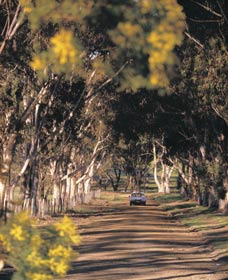 Albert Facey Heritage Trail - Accommodation in Brisbane 0