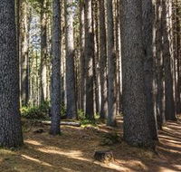 Sugarpine Walk - Accommodation in Brisbane