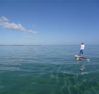 Peninsula Stand Up Paddle - Accommodation in Brisbane