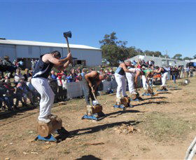 Quirindi Rural Heritage Village - Accommodation in Brisbane 1