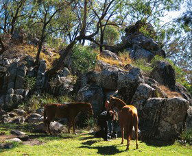  Accommodation in Brisbane