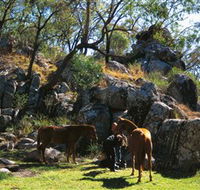 Coomba Falls - Accommodation in Brisbane
